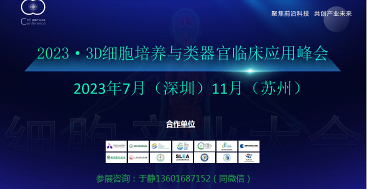 3D細(xì)胞培養(yǎng)圖片.png 3D細(xì)胞培養(yǎng)圖片.png