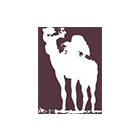 飛亞木業(yè)電子樣本畫冊